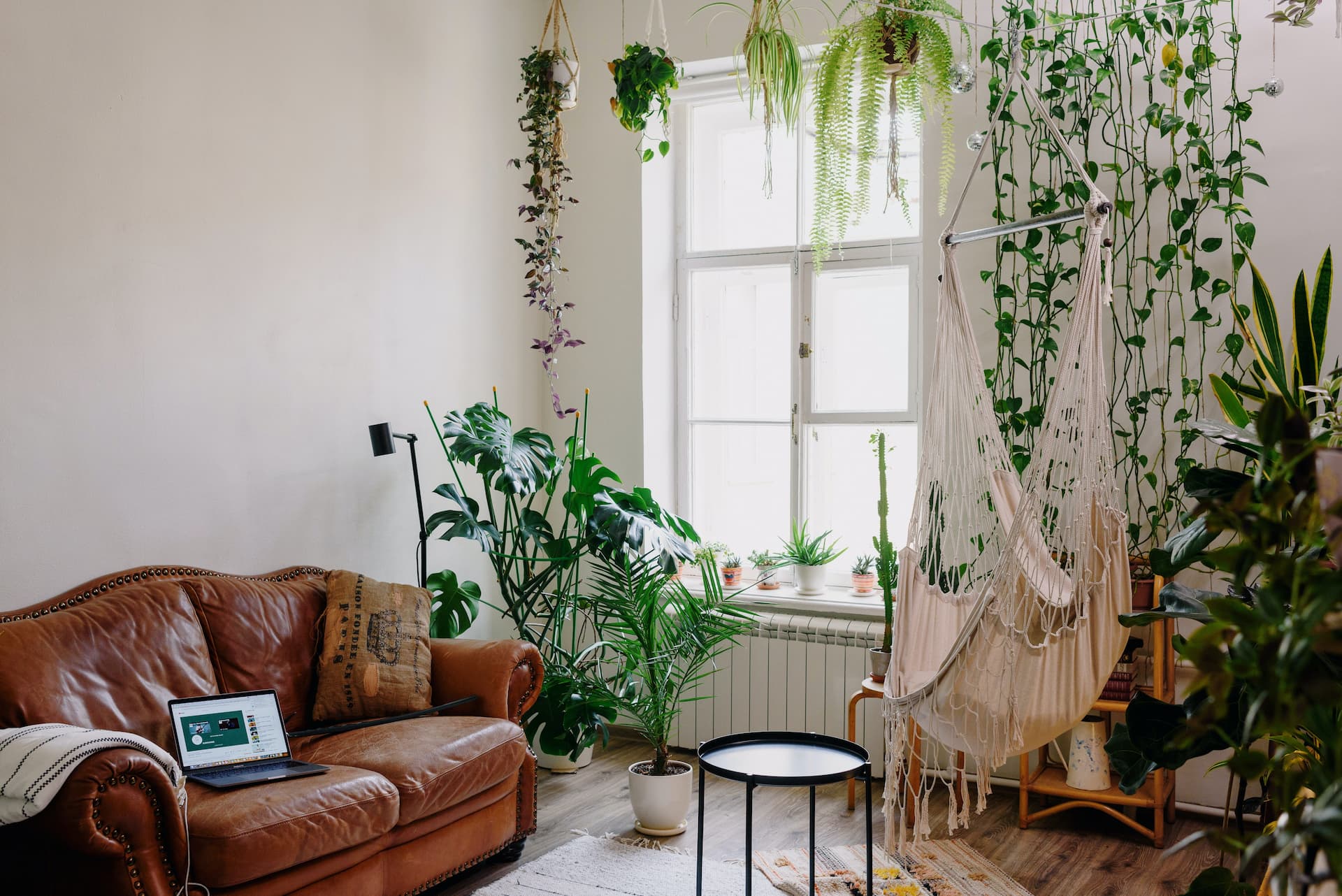 Las plantas son tendencia de decoración para salones en 2023.